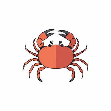 Red Crab Crustacean Marine Animal Illustration.