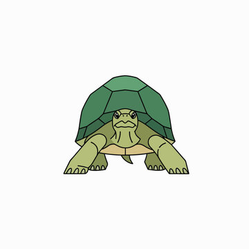 Turtle Cartoon Character Green Shell.