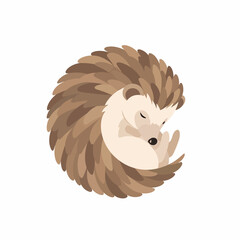 Sleeping Hedgehog Curled Up Tightly. © Warni