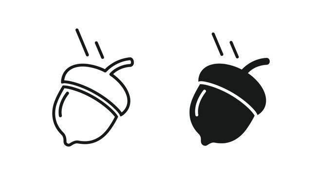 Falling acorn icon set in outline and solid black vector style representing autumn nature and seasonal forest harvest