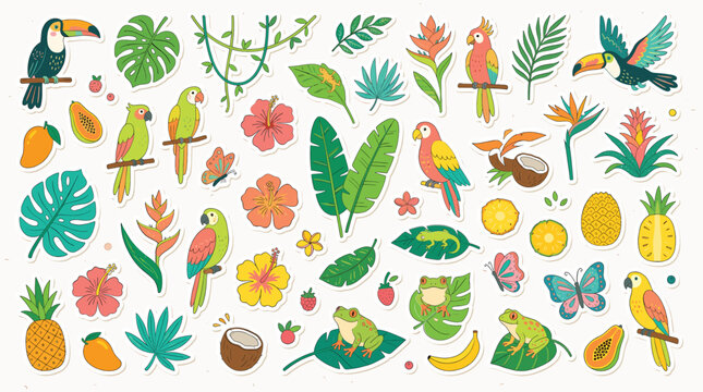 Tropical jungle sticker set with exotic birds and plants, colorful summer botanical vector collection, vibrant rainforest animals and fruit icons