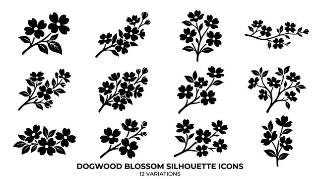 Dogwood Blossom Vector Illustration | Elegant Botanical Floral Artwork | Spring Bloom Nature Design