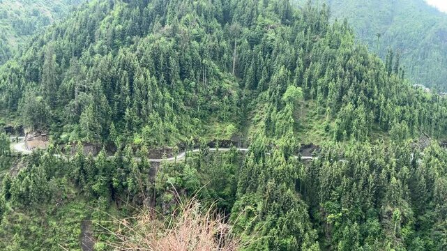 Winding mountain road overlooking terraced hills, forested slopes and stream in Janjehli valley, Mandi district, Himachal Pradesh, India.