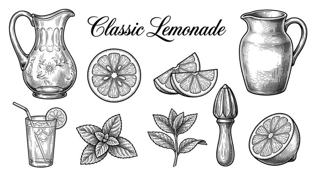Vintage Hand-Drawn Lemonade Illustration Set with Glass Pitchers, Lemon Slices, Mint Leaves, and Citrus Juice in Engraving Style