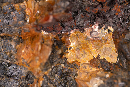 Macro detailed abstract image of a stone. 