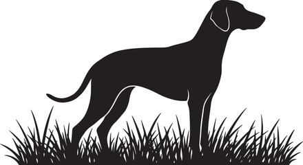 A striking black silhouette of a pointer dog standing alertly in tall grass, conveying a sense of nature, hunting, or companionship, outdoor themes also transparent background © BeCoolOk