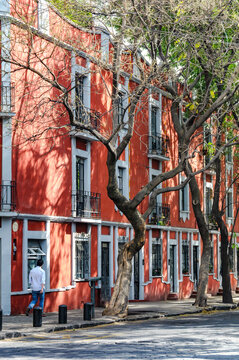Hombre caminando frente a fachadas coloniales rojas en el barrio de Coyoac&aacute;n, Ciudad de M&eacute;xico