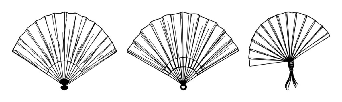 Traditional Japanese fan set with elegant black line art featuring delicate bamboo, classic cherry blossoms, and flowing patterns with natural elements and cultural motifs