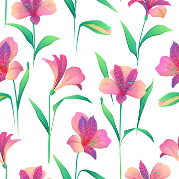 Seamless pattern with illustration of alstroemeria flowers. Colorful vector floral background with blooming alstroemeria flowers and leaves, repeat design for fabric, wrapping paper and surface design