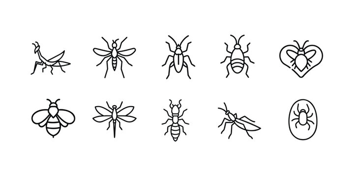 Insects and bugs web line icons set praying mantis mosquito pest cockroach bug honey bee dragonfly insect termite worker & more vector illustration with editable stroke