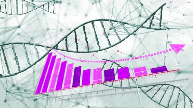 Magenta line appearing bars rising right dotted trend drawing marks arrow DNA drifting showing data