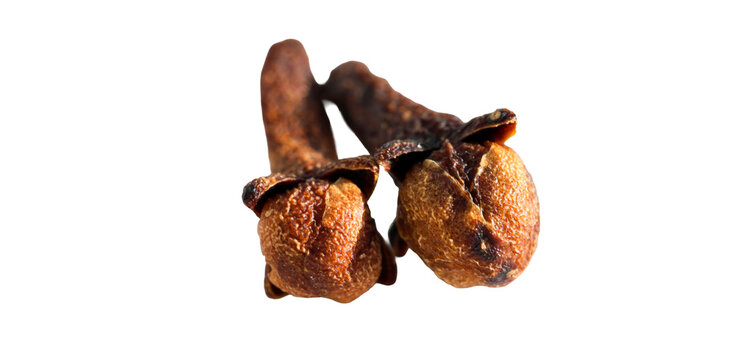 Cloves displayed in a macro close-up view highlighting the detailed texture and organic shapes Isolated on a transparent background png file