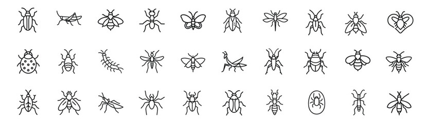 Pests and insects web line icons set red ladybird beetle predatory praying mantis stinging bumble bee meadow grasshopper bug & more vector illustration with editable stroke © Purnima
