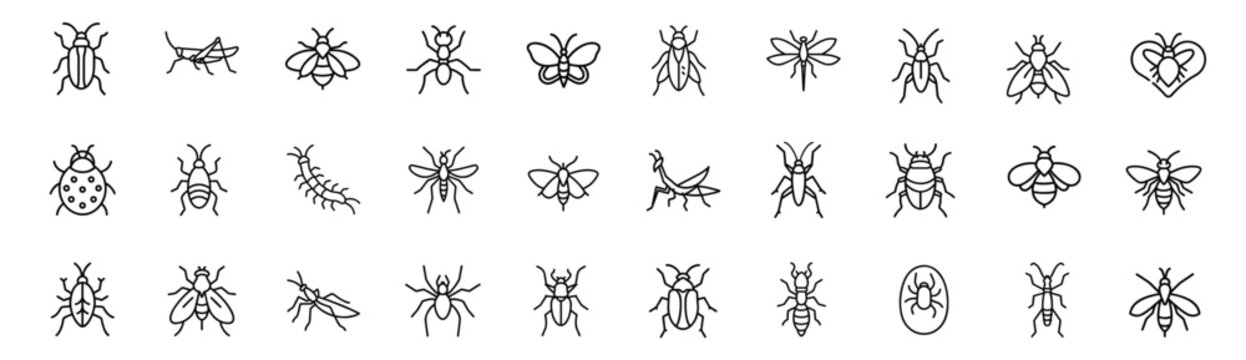 Pests and insects web line icons set red ladybird beetle predatory praying mantis stinging bumble bee meadow grasshopper bug & more vector illustration with editable stroke