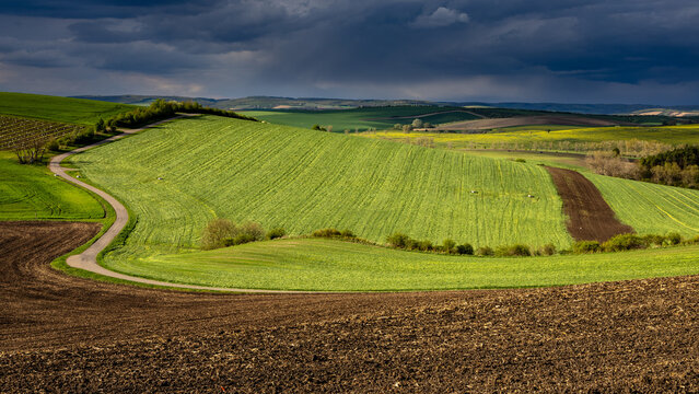 Spring rolling landscape before sunset - brown plowed fields contrast with green expanses and a winding road. The scene is lit by the sun under rain clouds.