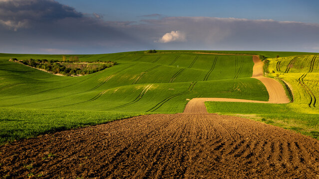 Fresh spring rolling landscape before sunset, with irregular patterns of fields and a depression overgrown with trees - Moravia, Czech Republic