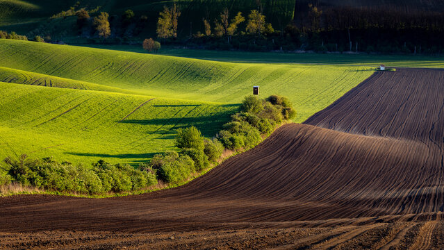 Fresh spring rolling landscape before sunset - dark brown plowed fields contrast with green meadows. On the terrain wave there are trees and a hunter's perch.