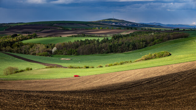 Spring rolling landscape before sunset - brown plowed fields contrast with green expanses. Scene lit by the sun shining through the clouds. Red car driving on the road between the fields
