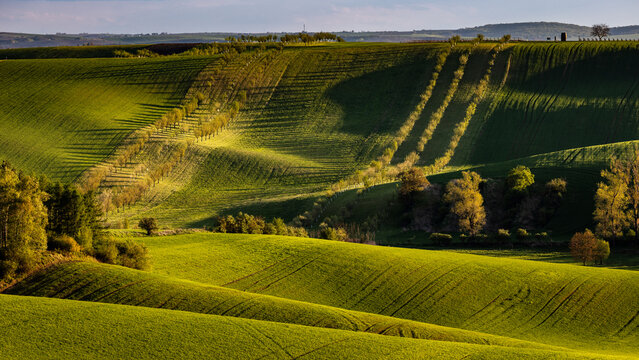 Fresh spring rolling landscape before sunset, modeled by light and shadows, reminiscent of Tuscany - Moravia, Czech Republic
