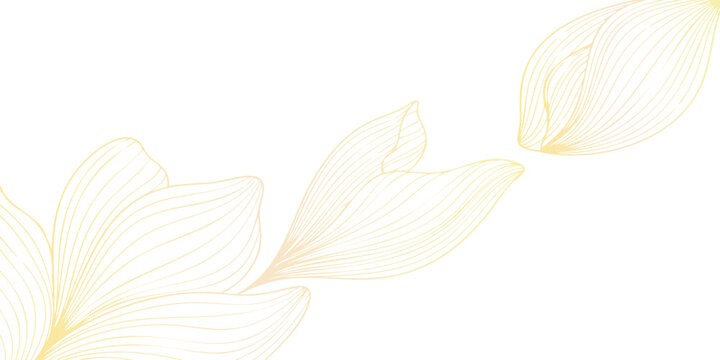 A beautiful single white lily blossom with a yellow petal macro isolated on a white background evokes a sense of peace and spring nature