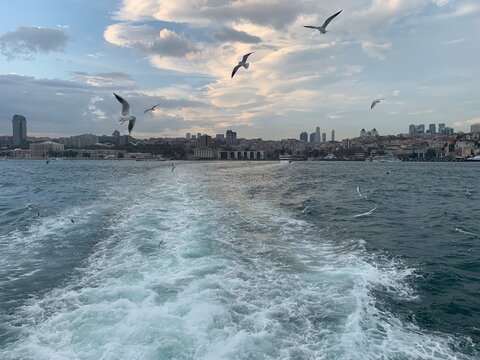 Sea