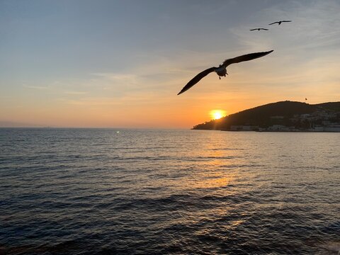 Sea