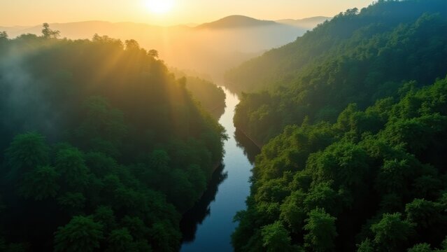 aerial river winding through rainforest canopy at sunrise