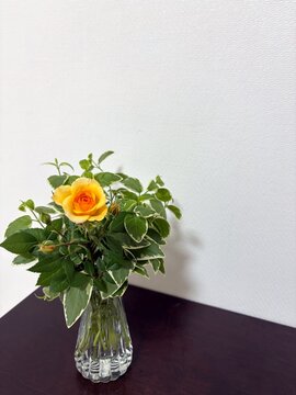 Yellow rose with green leaves in glass vase
