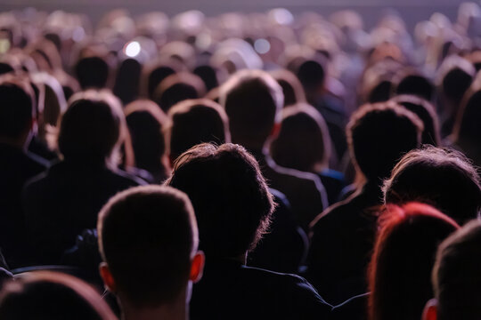 Large audience watching live concert, backs of heads and silhouettes in dim theater lighting, rows of seated spectators creating moody atmosphere.