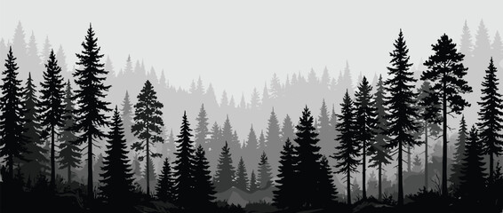 Misty Pine Forest Landscape Illustration with Evergreen Trees for Wilderness Nature and Outdoor Graphic Design Projects © SunilKumar