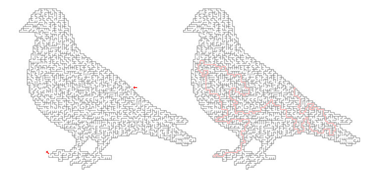 Bird shape maze labyrinth puzzle with solution
