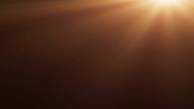 Natural Golden Sunlight Rays Lens Flare Overlay.