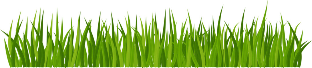 Fototapeta premium Realistic green grass. Bushes of fresh greens. Spring meadow. Summer lawn. Glade with plants. Nature landscape vector illustration.