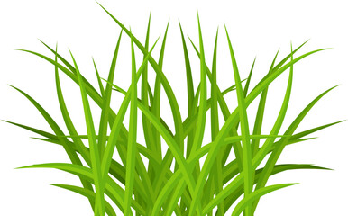 Naklejka premium Realistic green grass. Bushes of fresh greens. Spring meadow. Summer lawn. Glade with plants. Nature landscape vector illustration.