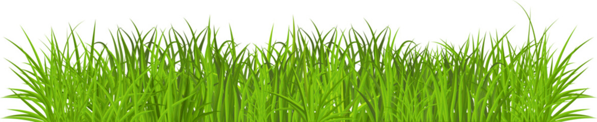 Fototapeta premium Realistic green grass. Bushes of fresh greens. Spring meadow. Summer lawn. Glade with plants. Nature landscape vector illustration.