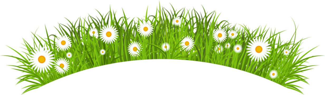 Realistic green grass frame. Bushes of fresh greens border. Spring meadow. Summer lawn. Glade with plants. Nature landscape vector illustration.