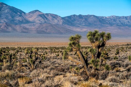 Extraterrestrial Highway Nevada Desert Road and Remote Landscape Near Area 51