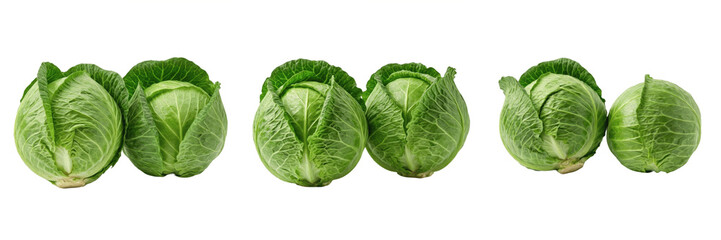 Fototapeta premium Pair of Fresh Green Cabbage Heads Isolated on White Background, Realistic 3D Vegetable Illustration for Healthy Vegan Diet Marketing, Agriculture Branding, and Culinary Blog Graphics.