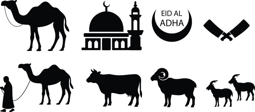 Eid al Adha black silhouette and outline icon set collection group with camel cow goat ram mosque crescent knife symbols, Islamic sacrifice festival vector pack in flat and line style