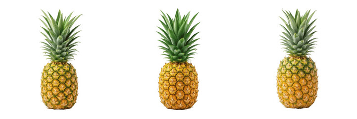Fototapeta premium Fresh Whole Pineapple Fruit with Green Leaves Isolated on White Background - Tropical Sweet Dessert, Healthy Nutrition, Exotic Flavor, Organic Produce, and Nature Photography Design Assets