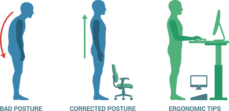 Vector illustration of ergonomic workspace showing comparison between bad slouching posture and corrected standing posture with standing desk setup and tips