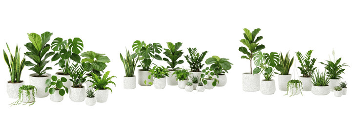 Obraz premium Set of Various Small Green Potted Houseplants Isolated on White Background - Trendy Indoor Greenery for Home Office Decor, Interior Design Mockups, and Urban Jungle Graphic Assets