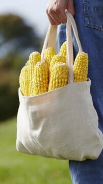 Person carrying reusable bag filled with fresh corn cobs outdoors