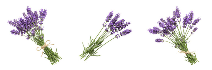 Tied Bunch of Fresh Purple Lavender Herbs Isolated on White Background - Aromatic Botanical Element for Culinary Branding, Natural Skincare Marketing, and Wellness Design Assets © Dimitri G