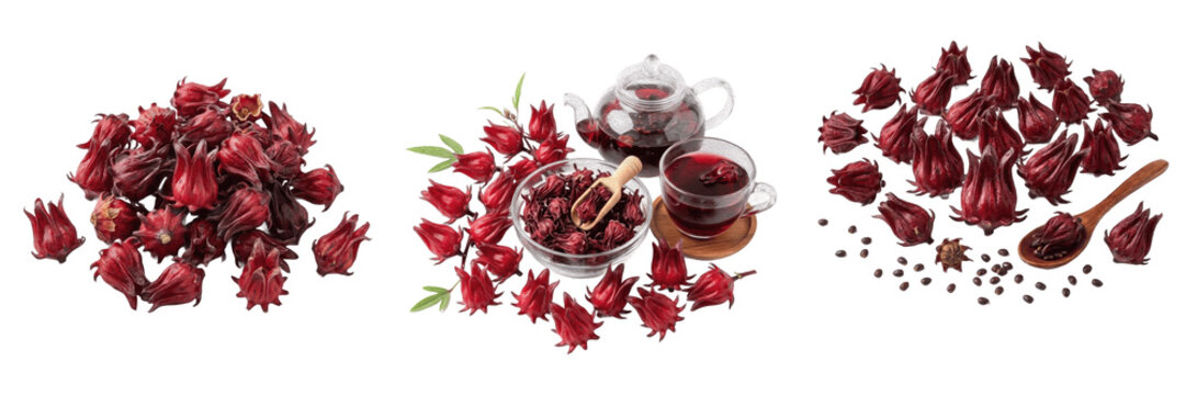 Dried Red Berries and Hibiscus Tea Set Isolated on White Background - Healthy Herbal Beverage for Wellness Branding, Organic Tea Shops, and Culinary Design Assets