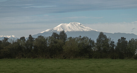 Calbuco volcano peak rising over green field and forest © Pajaros Volando