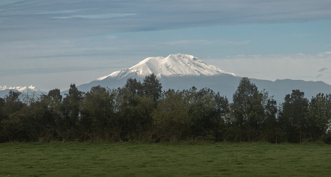 Calbuco volcano peak rising over green field and forest