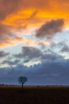 View of a lone bare tree standing in a dark field under a dramatic sunset sky with vibrant orange and dark blue clouds Mont Saint-Michel, Normandy, France.