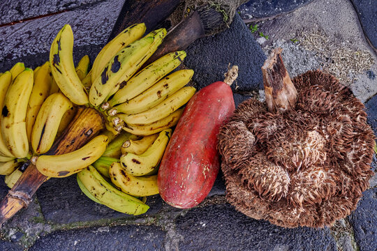 Baby bananas, red papaya, and fibrous Tagua palm fruit displayed on textured stone surface, tropical fruits and natural elements. Biodiversity of tropical flora, agricultural wealth of Selva Ecuador