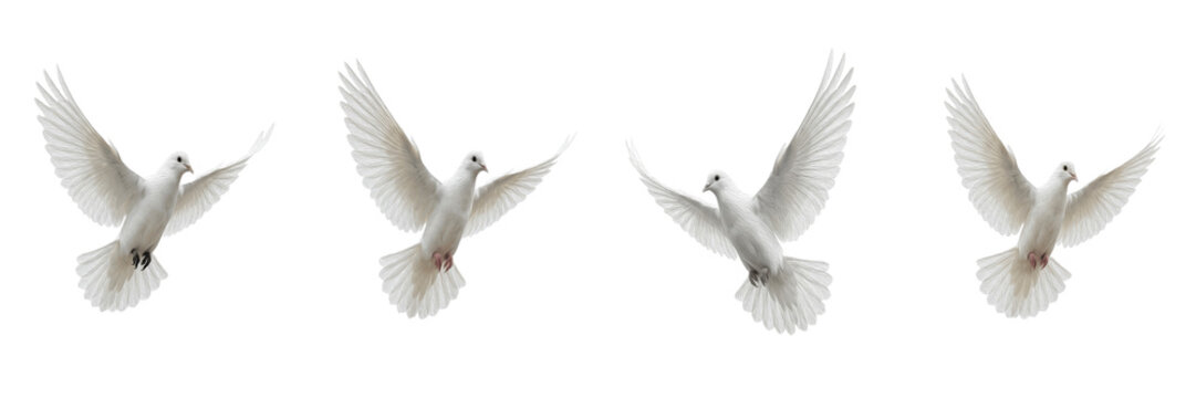 Set of White Flying Doves Peace Symbols Isolated on White Background PNG